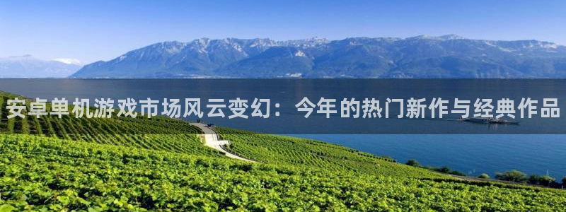 辉达娱乐平台注册：安卓单机游戏市场风云变幻：今年的热门新作与