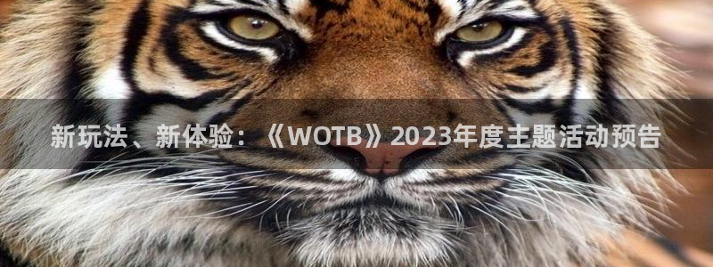 辉达娱乐平台注册：新玩法、新体验：《WOTB》2023年度主