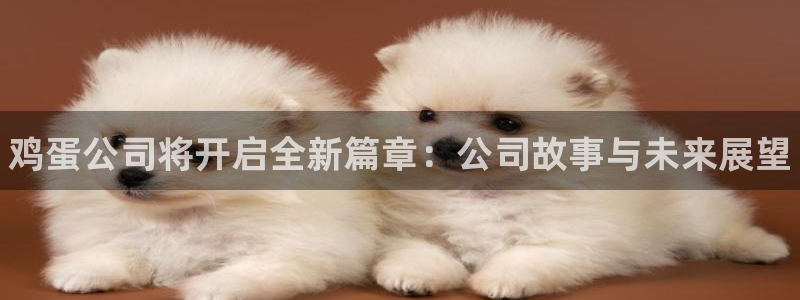 辉达娱乐娱乐是真的吗：鸡蛋公司将开启全新篇章：公司故事与未来