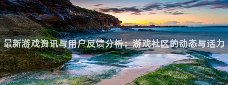 手机版辉达娱乐客户端下载：最新游戏资讯与用户反馈分析：游戏社