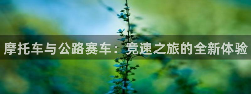 辉达娱乐app：摩托车与公路赛车：竞速之旅的全新体验
