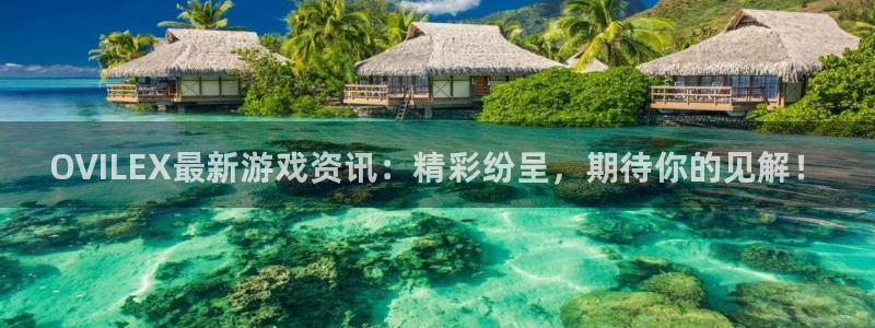 辉达娱乐官网：OVILEX最新游戏资讯：精彩纷呈，期待你的见