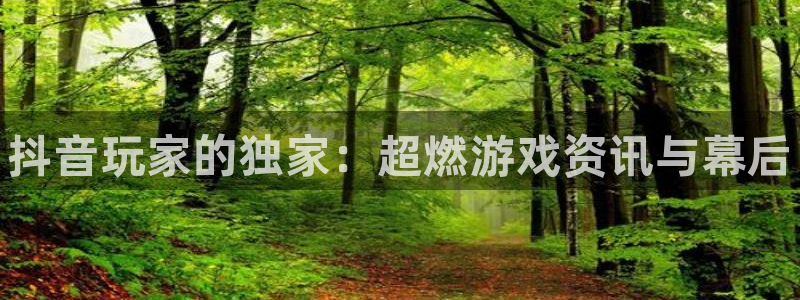 辉达娱乐咨询