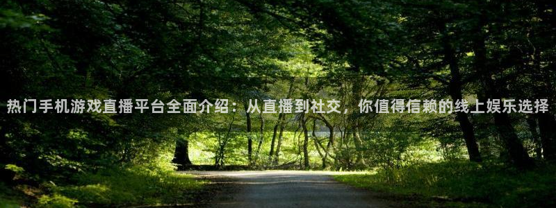 辉达娱乐平台：热门手机游戏直播平台全面介绍：从直播到社交，你
