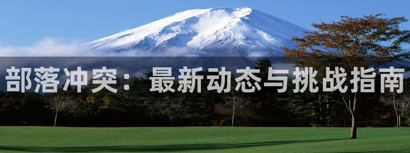 辉达娱乐登录地址：部落冲突：最新动态与挑战指南