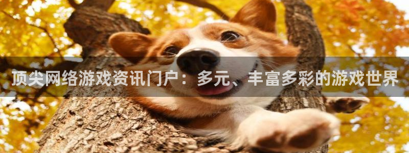 辉达娱乐平台官网客服电话：顶尖网络游戏资讯门户：多元、丰富多