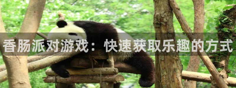 辉达娱乐注册：香肠派对游戏：快速获取乐趣的方式