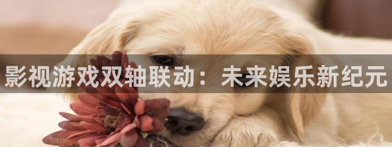 辉达娱乐网页登录入口：影视游戏双轴联动：未来娱乐新纪元